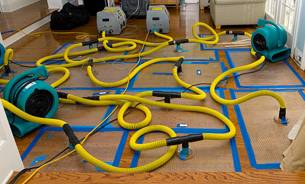 Professional Burst Pipe Water Damage technician working in Lansing, IL